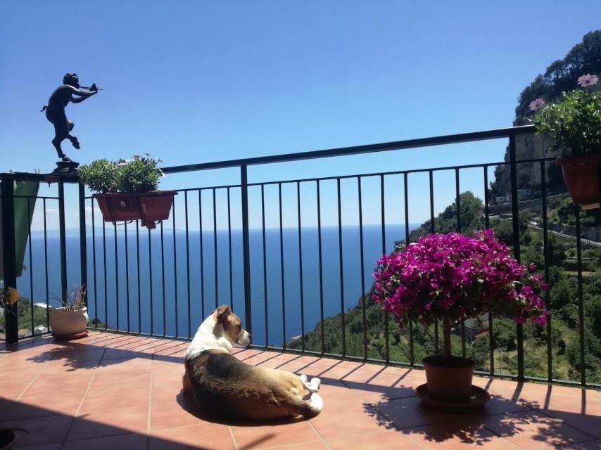 Domus Gaia Bed & Breakfast Amalfi Exterior photo